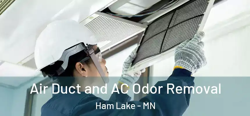  Air Duct and AC Odor Removal Ham Lake - MN