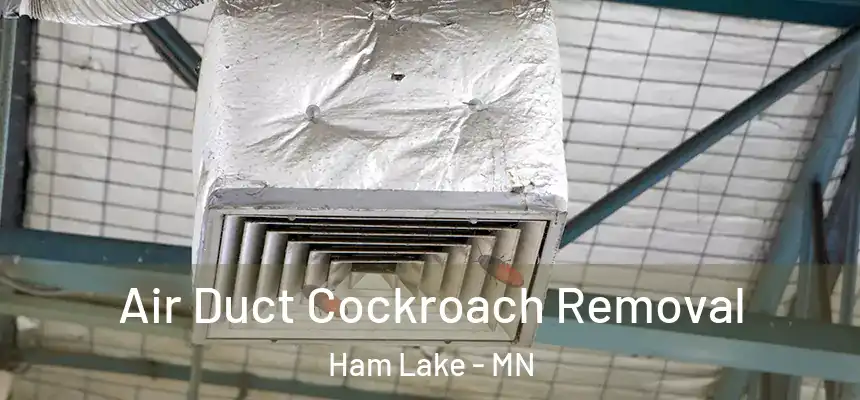  Air Duct Cockroach Removal Ham Lake - MN