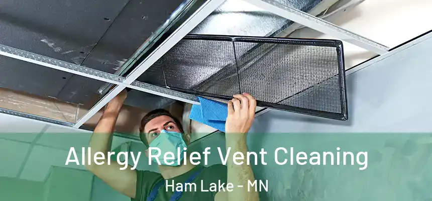  Allergy Relief Vent Cleaning Ham Lake - MN
