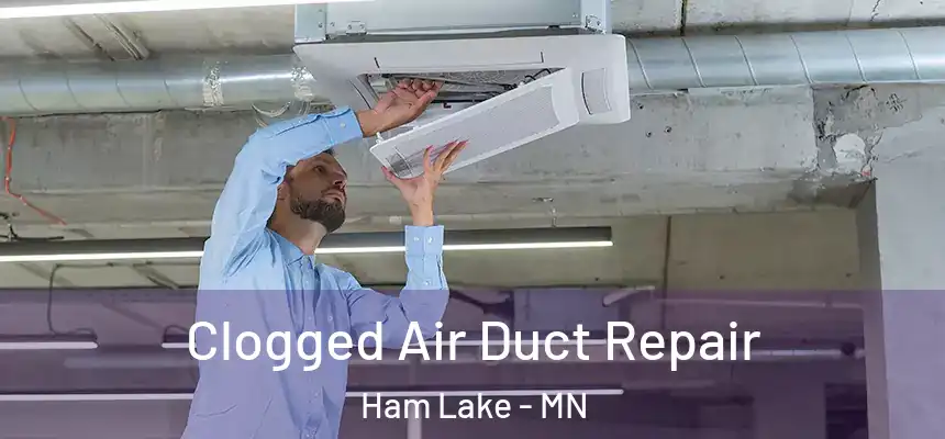  Clogged Air Duct Repair Ham Lake - MN