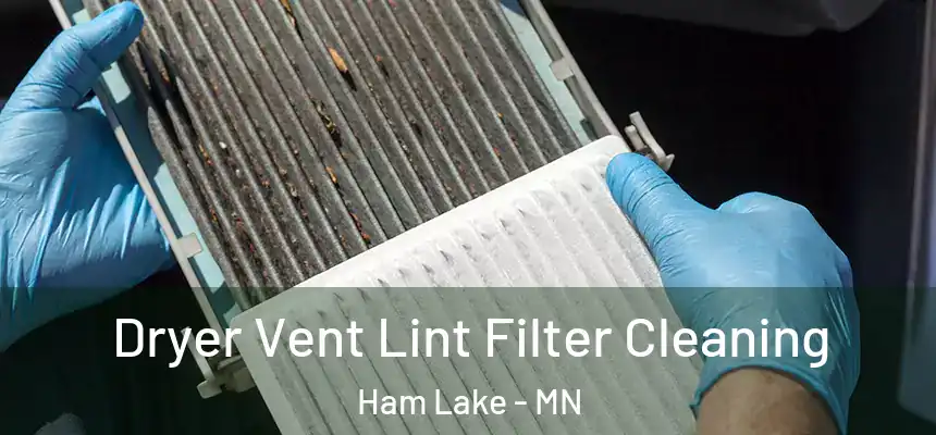  Dryer Vent Lint Filter Cleaning Ham Lake - MN