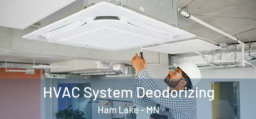  HVAC System Deodorizing Ham Lake - MN