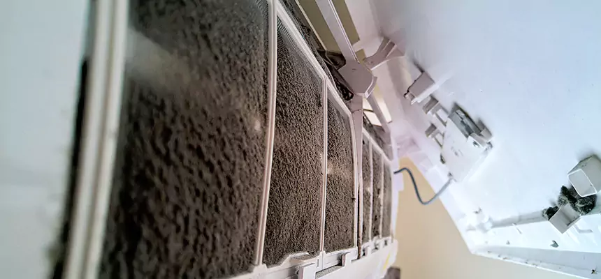 Preventive Air Duct Bacteria Removal in Ham Lake