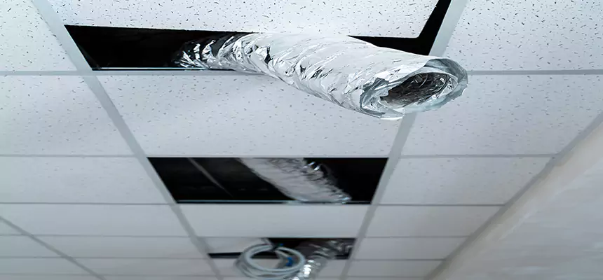 Affordable HVAC Sanitizing After Pest Removal in Ham Lake