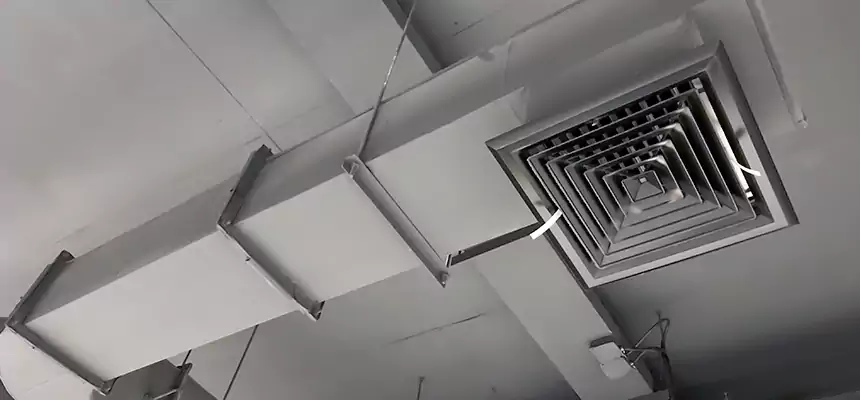 Our Pest Removal From Ducts Services in Ham Lake, MN