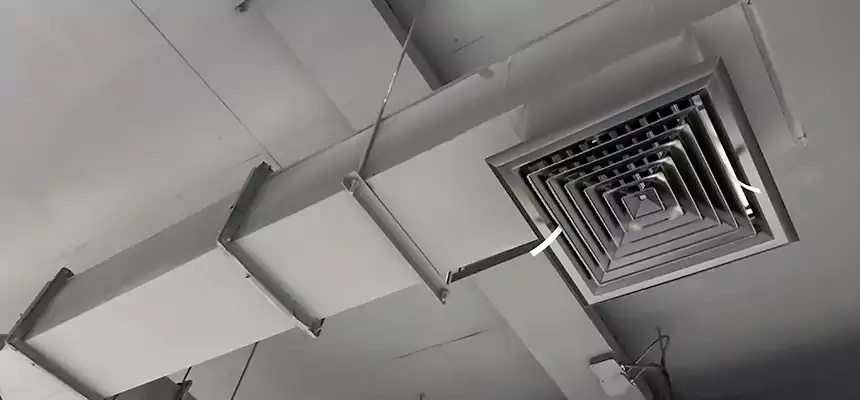 Our Rodent Droppings In Vents Services in Ham Lake, MN