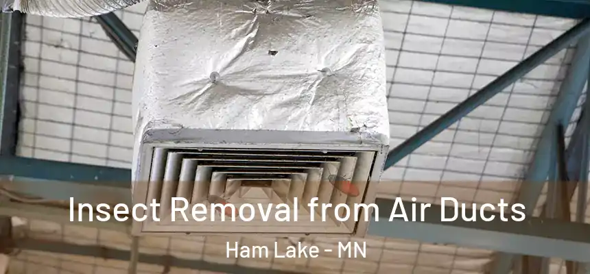  Insect Removal from Air Ducts Ham Lake - MN
