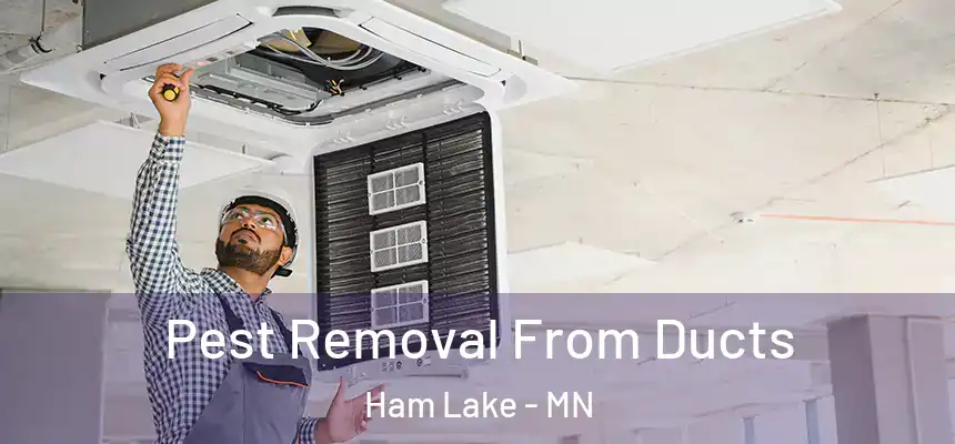  Pest Removal From Ducts Ham Lake - MN