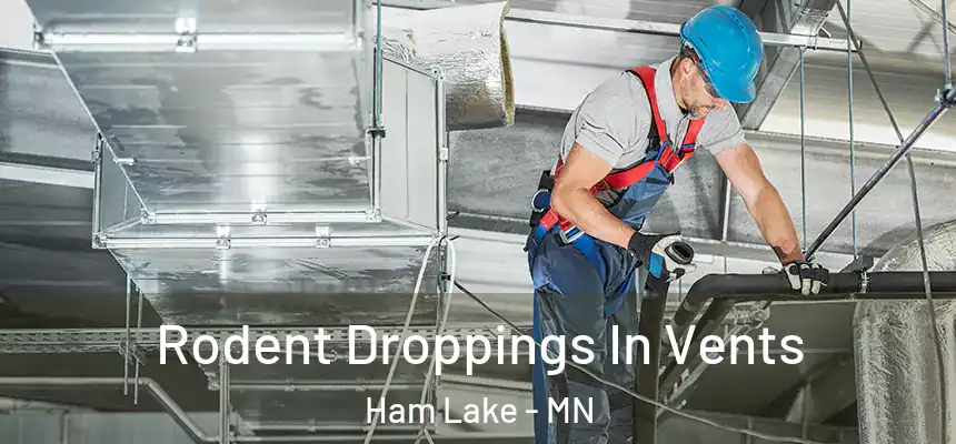  Rodent Droppings In Vents Ham Lake - MN