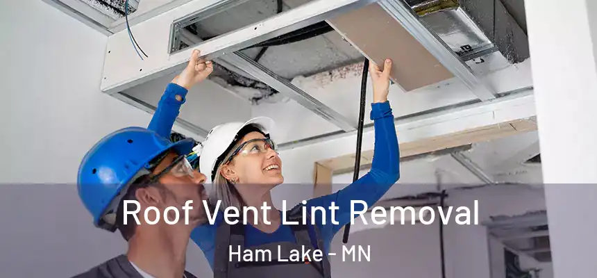  Roof Vent Lint Removal Ham Lake - MN