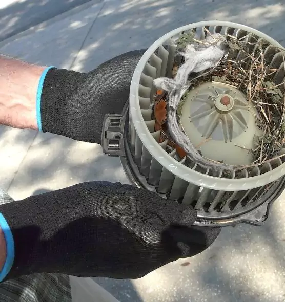 About Air Duct Mice Removal in Ham Lake, MN