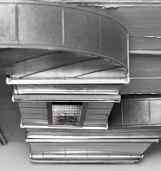 Professional Air Duct Pet Hair Removal in Ham Lake, MN