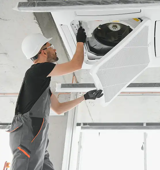 About Air Duct Rodent Removal in Ham Lake, MN