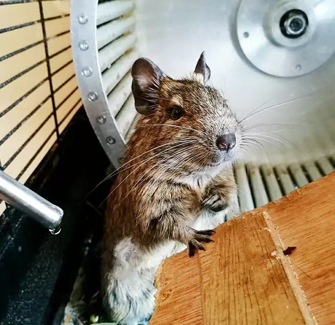 Why Homeowners & Businesses Trust Us Ham Lake, MN