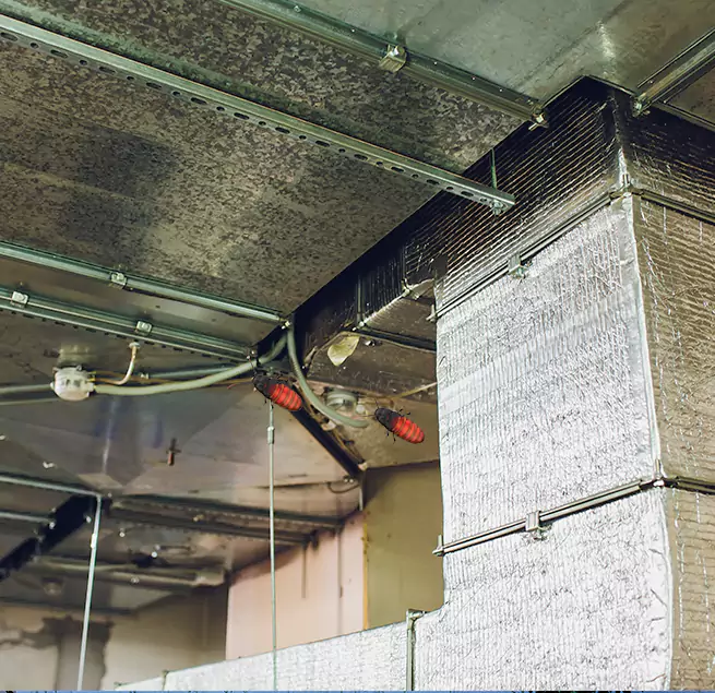 Why Homeowners & Businesses Trust Us Ham Lake, MN?