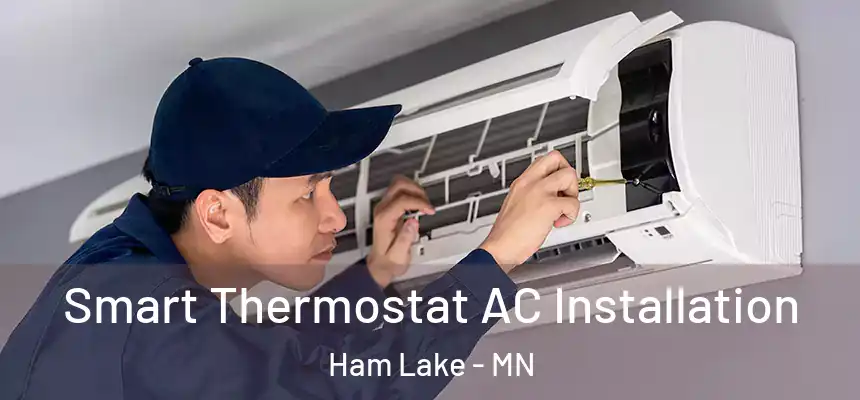  Smart Thermostat AC Installation Ham Lake - MN